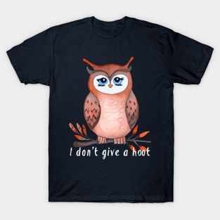 I don't give a hoot, owl lover gift T-Shirt